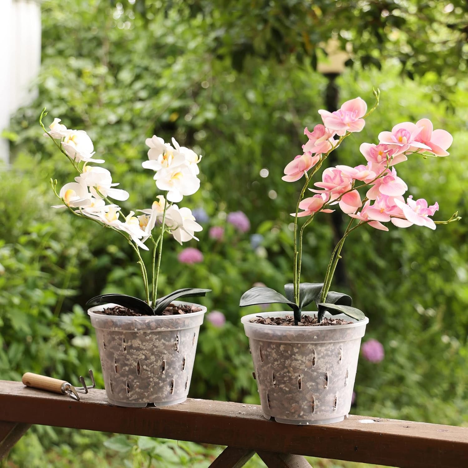 Orchid Pots with Holes Clear Orchid Pot Plastic Plant Pot Flower Pots Outdoor and Indoor Use 4.5 Inch 10Pack