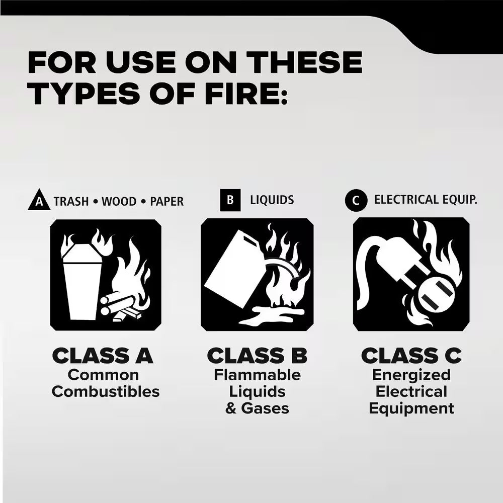 Pro 210 Rechargeable 2-A:10-B:C Class ABC 4 Lb. Fire Extinguisher 21030918