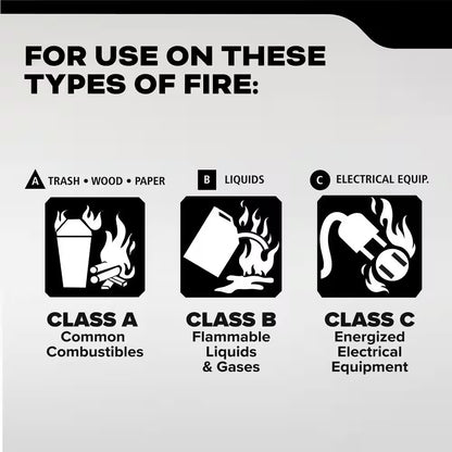 Pro 210 Rechargeable 2-A:10-B:C Class ABC 4 Lb. Fire Extinguisher 21030918