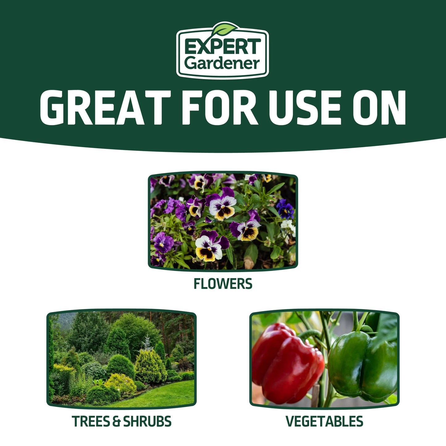 All Purpose Plant Food Fertilizer 16-16-16, 20 Lb.