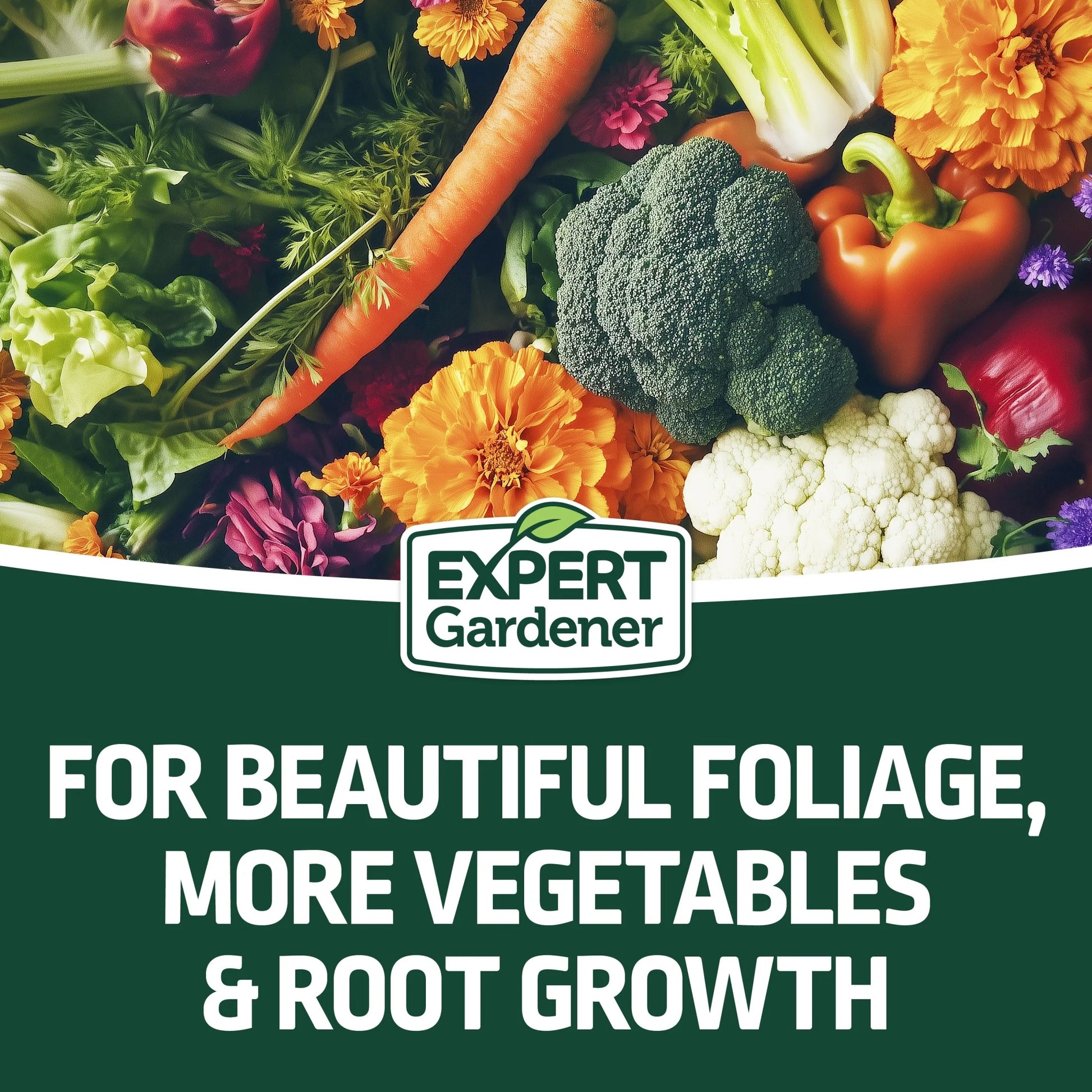 All Purpose Plant Food Fertilizer 16-16-16, 20 Lb.