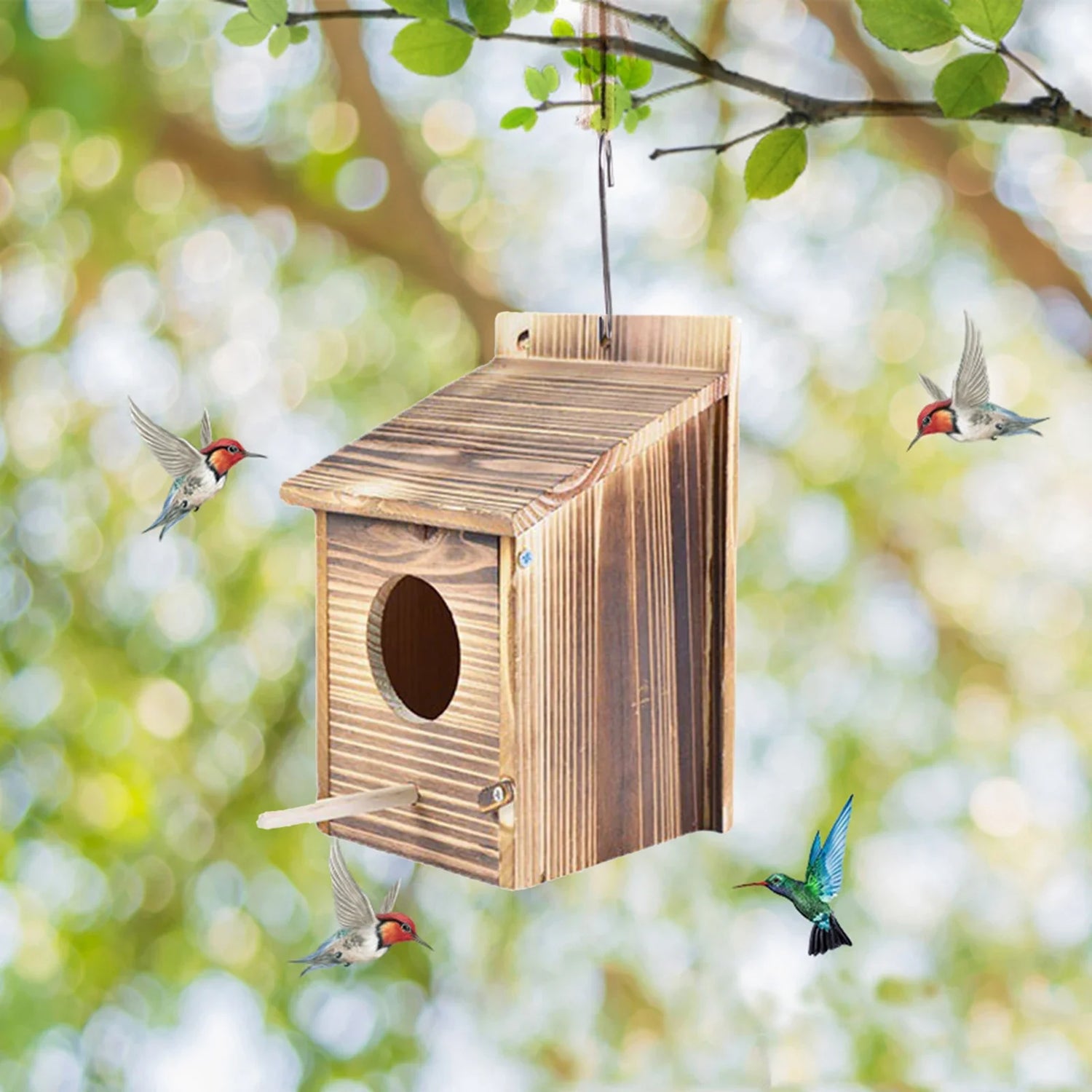 Bird Houses for outside Clearance,Humming Bird Houses for Outdoor,Wood Cedar Blue Bird Box House,Swallow Wren Cedar Finch House,Diy