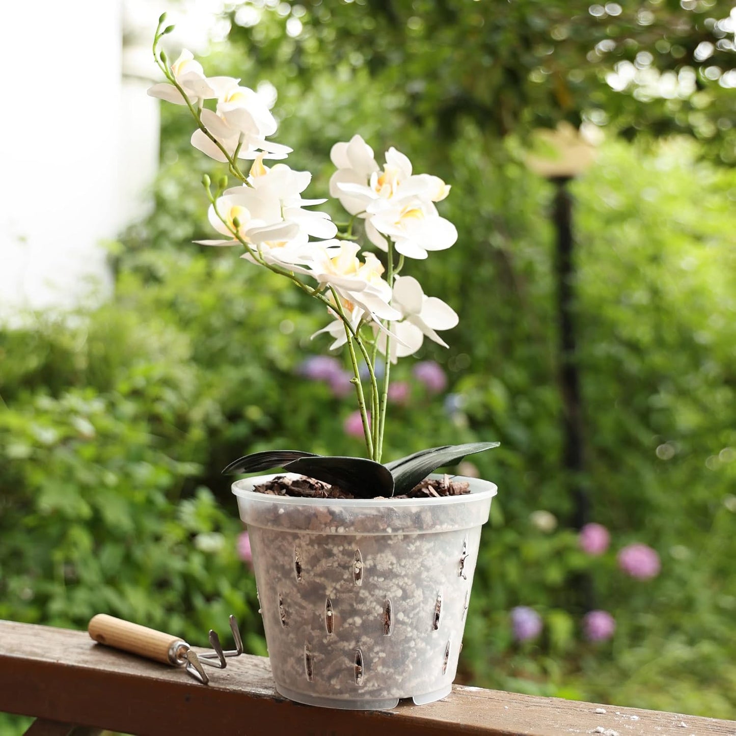Orchid Pots with Holes Clear Orchid Pot Plastic Plant Pot Flower Pots Outdoor and Indoor Use 4.5 Inch 10Pack