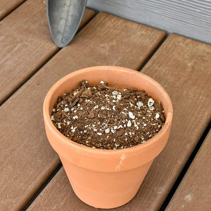 Soil Mixture for Indoor Herb Planters, Specially Blended Soil Mixture for Planting and Growing Indoor Kitchen Herbs Indoors, Indoor Herb Garden, Herb Growing Soil Mixture 2QT