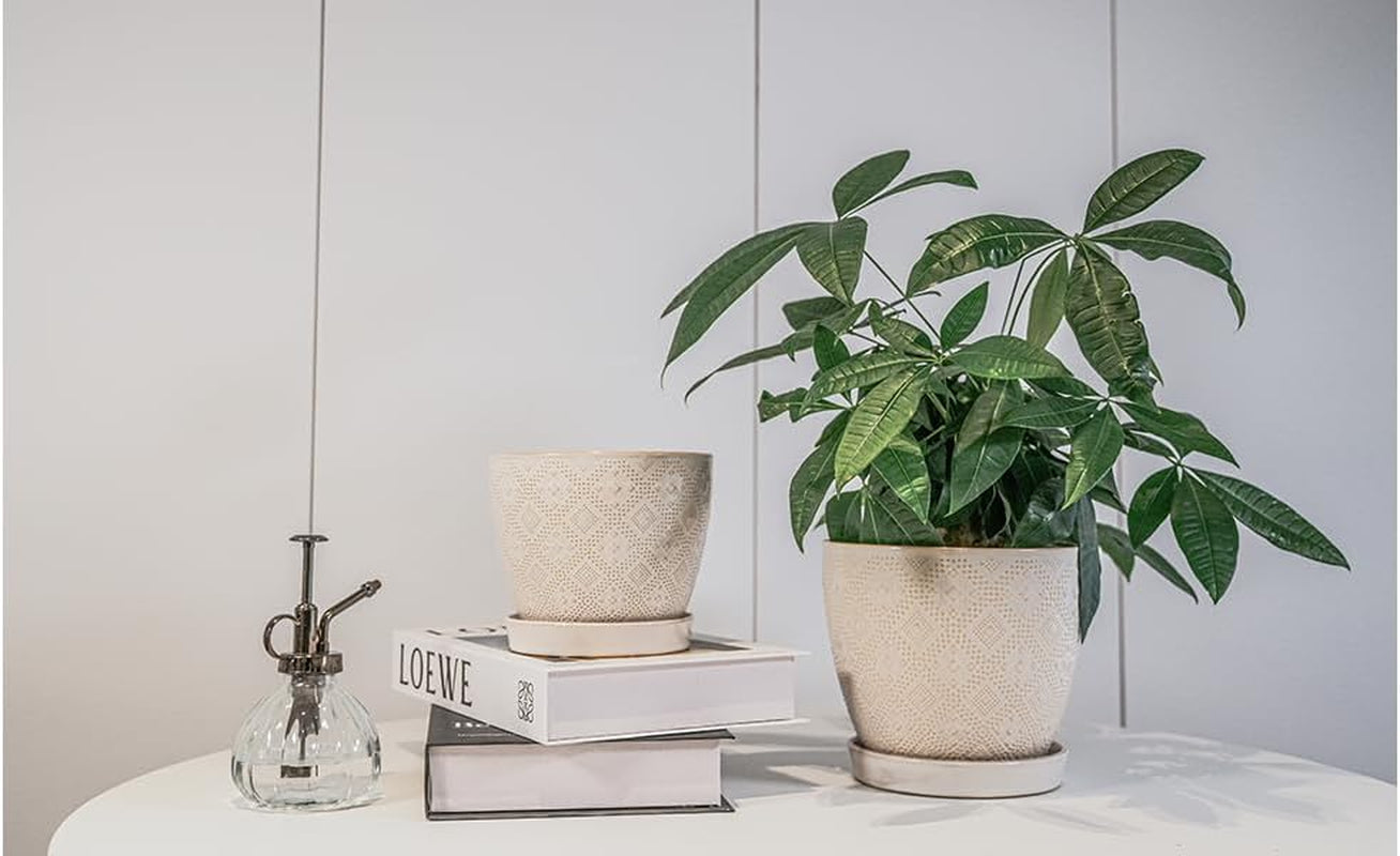 Ceramic Plant Pots Indoor, 6.6 + 5.5 Inch Planters with Drainage Holes and Saucer for Home/Office - Set of 2 /White